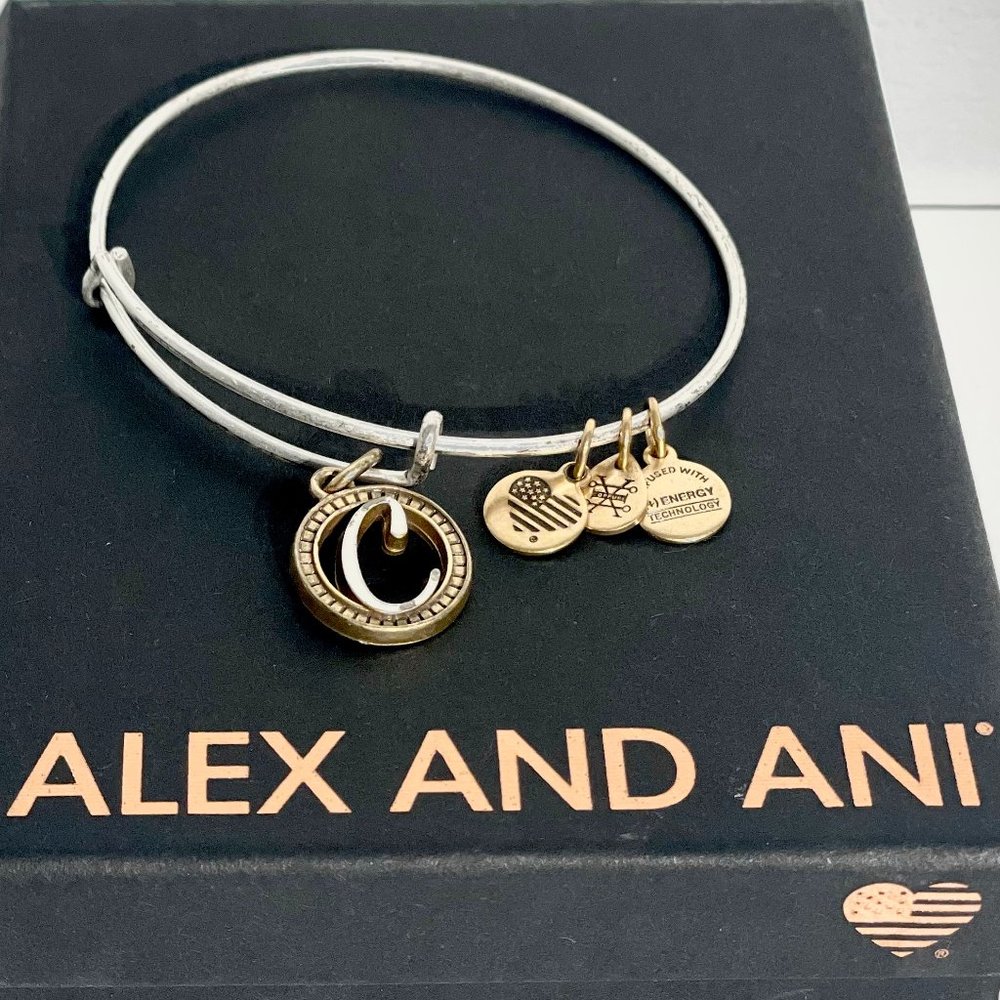 Alex and Ani Charm Bangle